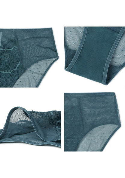 Enchante High-Rise Lace Brief Underwear - HSIA
