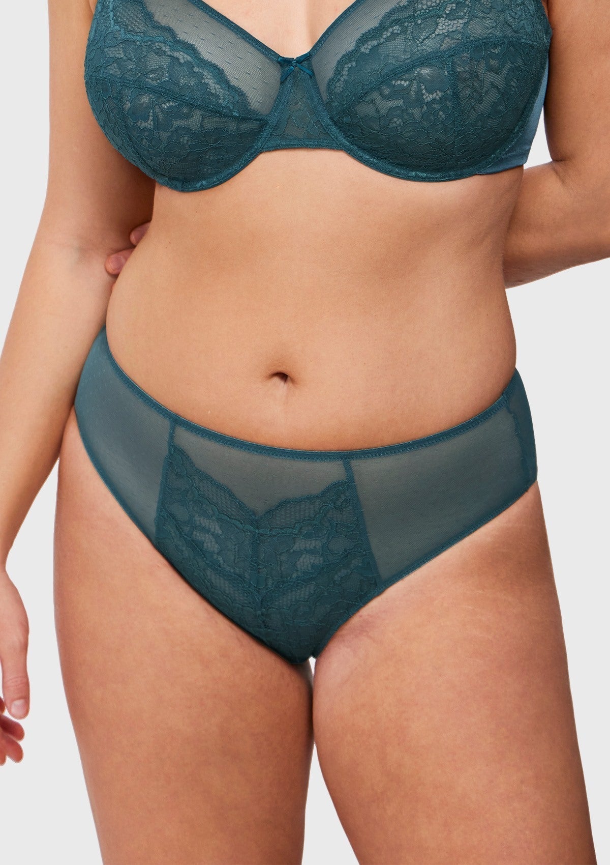 Enchante High-Rise Lace Brief Underwear - HSIA