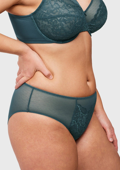 Enchante High-Rise Lace Brief Underwear - HSIA