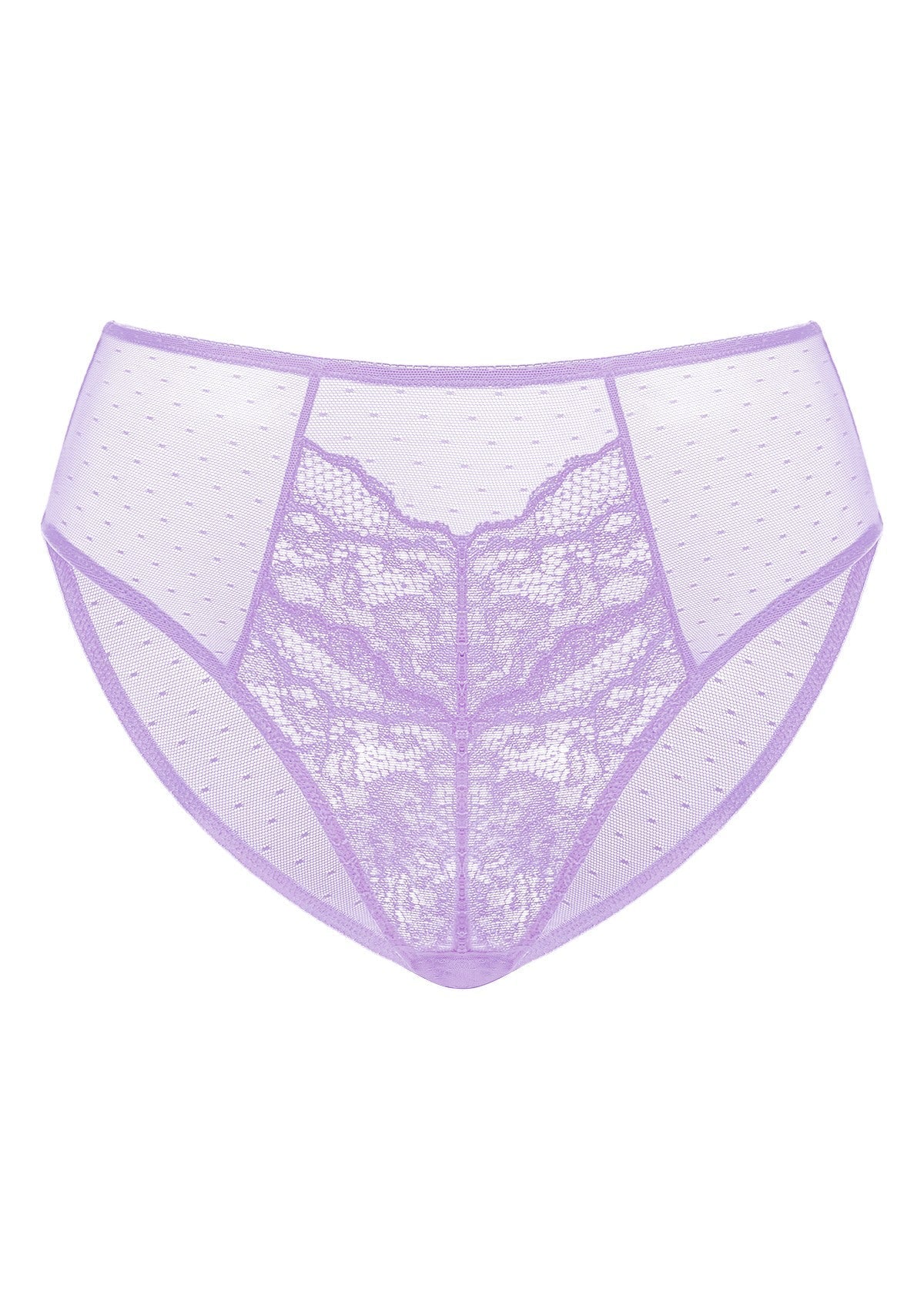 Enchante High-Rise Lace Brief Underwear - HSIA