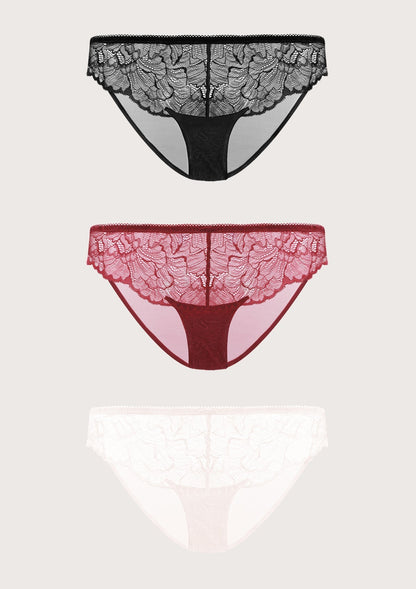 HSIA Blossom Lace Bikini Underwears 3 Pack - HSIA