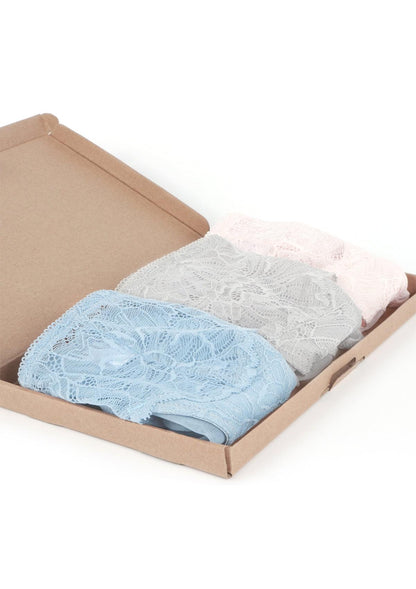 HSIA Blossom Lace Bikini Underwears 3 Pack - HSIA